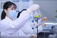 巾幗不讓須眉，她們獲省級巾幗文明崗榮譽(yù)